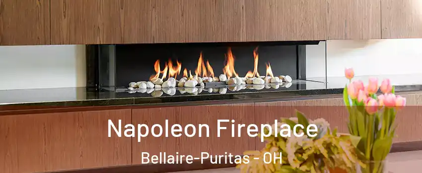 Napoleon Fireplace Bellaire-Puritas - OH