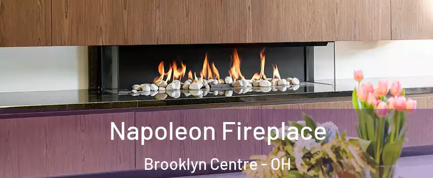 Napoleon Fireplace Brooklyn Centre - OH