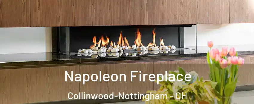 Napoleon Fireplace Collinwood-Nottingham - OH