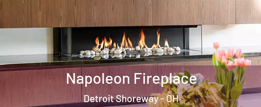 Napoleon Fireplace Detroit Shoreway - OH