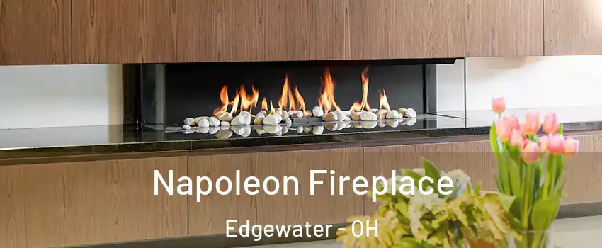 Napoleon Fireplace Edgewater - OH