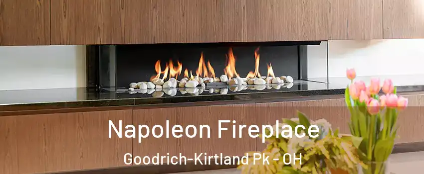 Napoleon Fireplace Goodrich-Kirtland Pk - OH