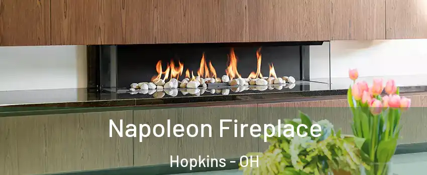 Napoleon Fireplace Hopkins - OH