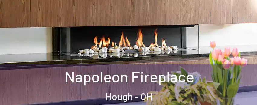 Napoleon Fireplace Hough - OH