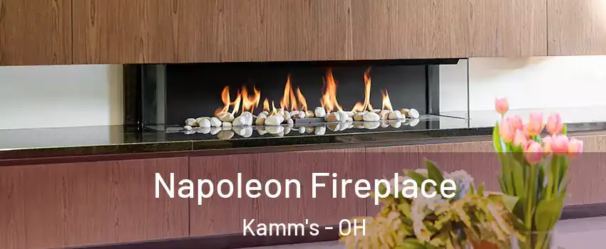 Napoleon Fireplace Kamm's - OH
