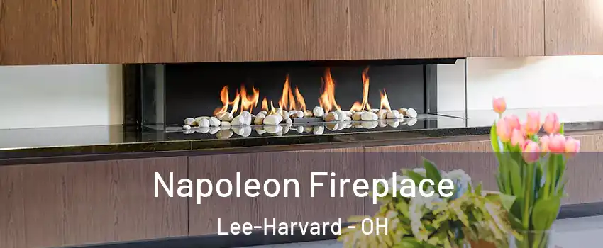 Napoleon Fireplace Lee-Harvard - OH