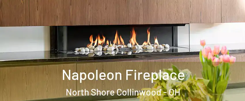 Napoleon Fireplace North Shore Collinwood - OH
