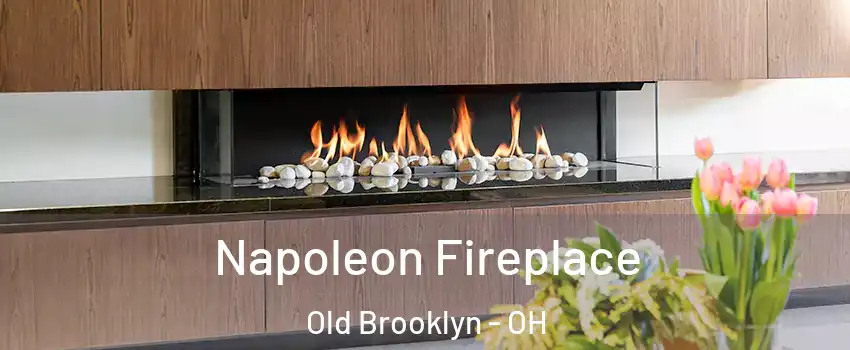 Napoleon Fireplace Old Brooklyn - OH