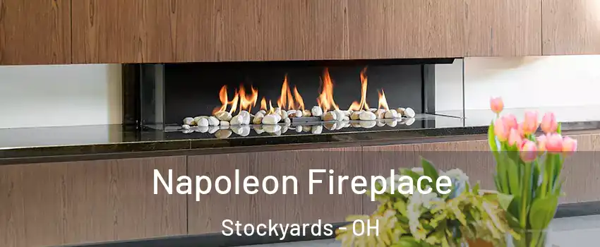 Napoleon Fireplace Stockyards - OH