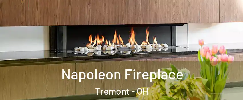 Napoleon Fireplace Tremont - OH