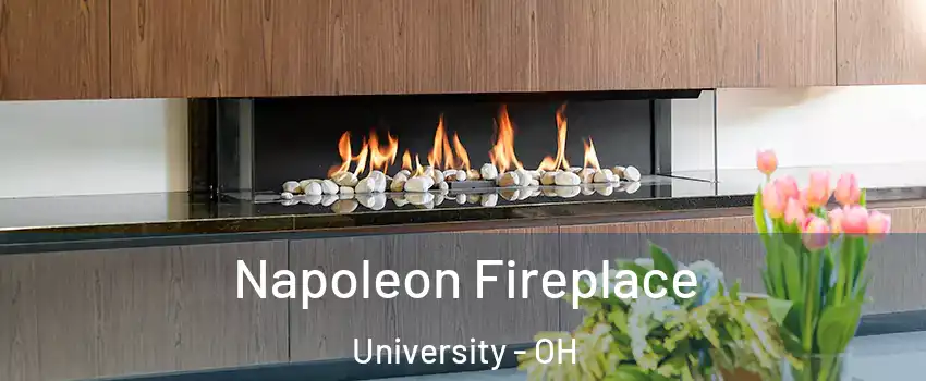 Napoleon Fireplace University - OH