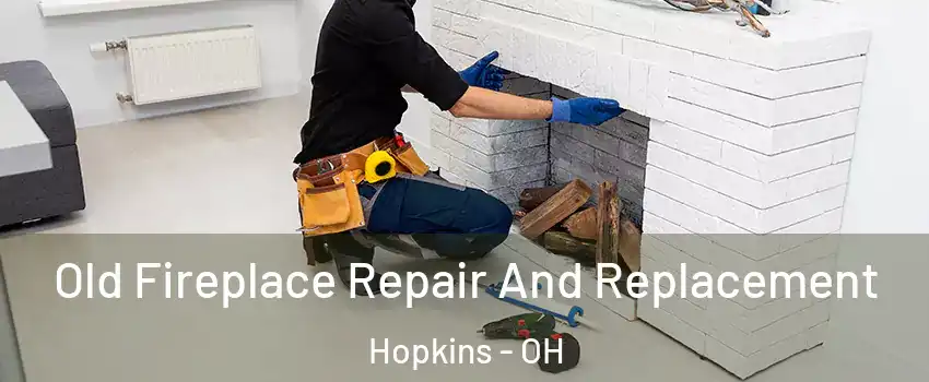 Old Fireplace Repair And Replacement Hopkins - OH