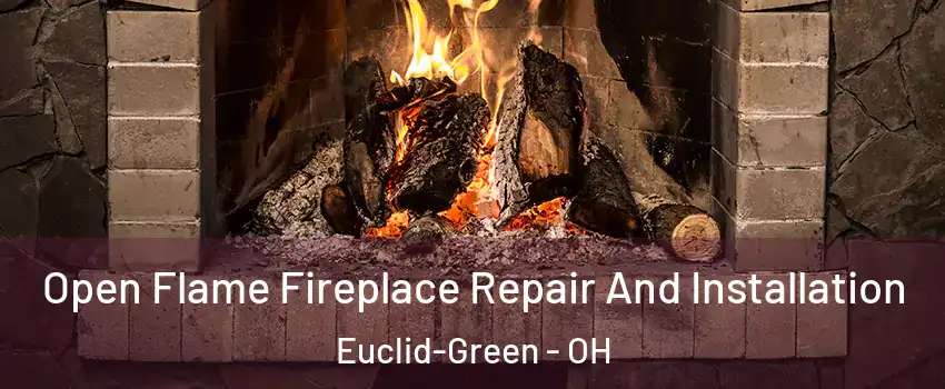 Open Flame Fireplace Repair And Installation Euclid-Green - OH