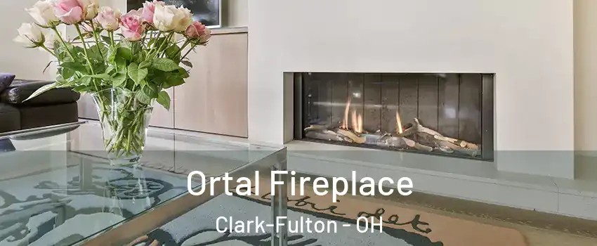 Ortal Fireplace Clark-Fulton - OH