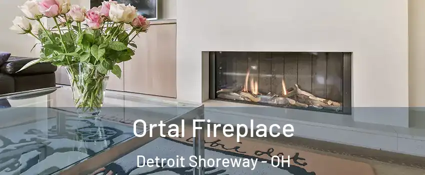 Ortal Fireplace Detroit Shoreway - OH