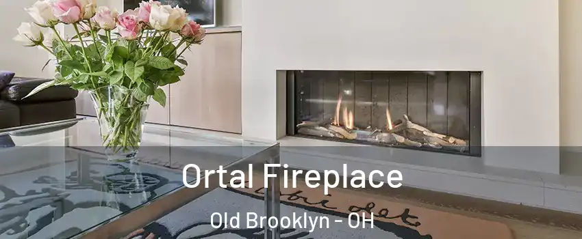 Ortal Fireplace Old Brooklyn - OH