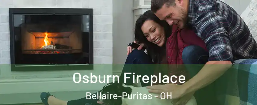 Osburn Fireplace Bellaire-Puritas - OH