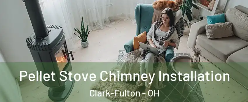 Pellet Stove Chimney Installation Clark-Fulton - OH
