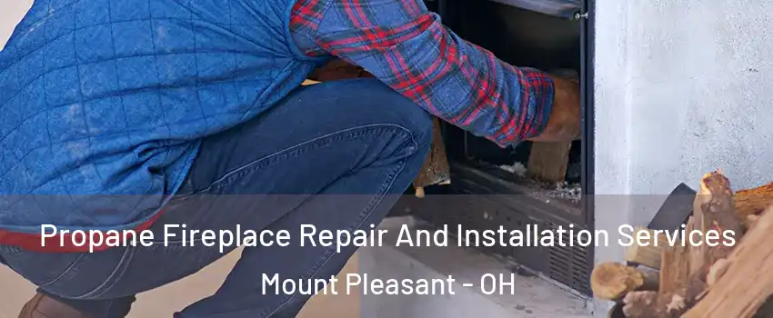 Propane Fireplace Repair And Installation Services Mount Pleasant - OH