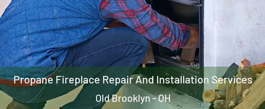 Propane Fireplace Repair And Installation Services Old Brooklyn - OH