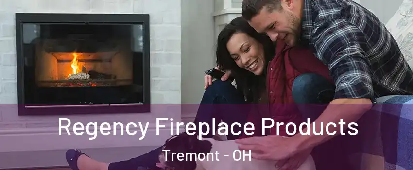 Regency Fireplace Products Tremont - OH