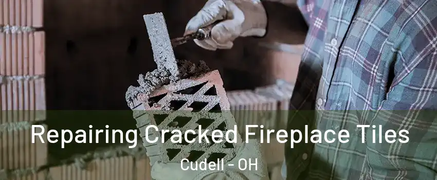 Repairing Cracked Fireplace Tiles Cudell - OH