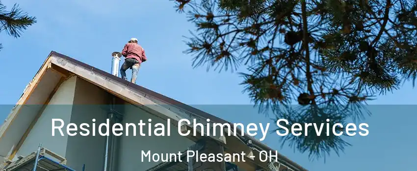 Residential Chimney Services Mount Pleasant - OH