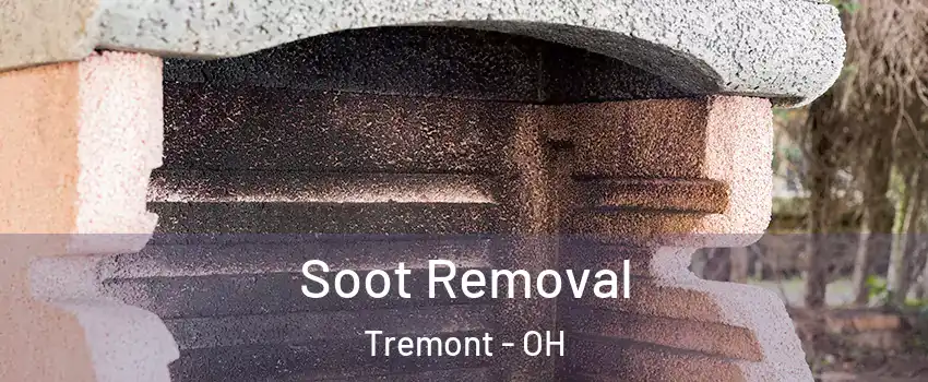 Soot Removal Tremont - OH