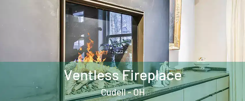 Ventless Fireplace Cudell - OH