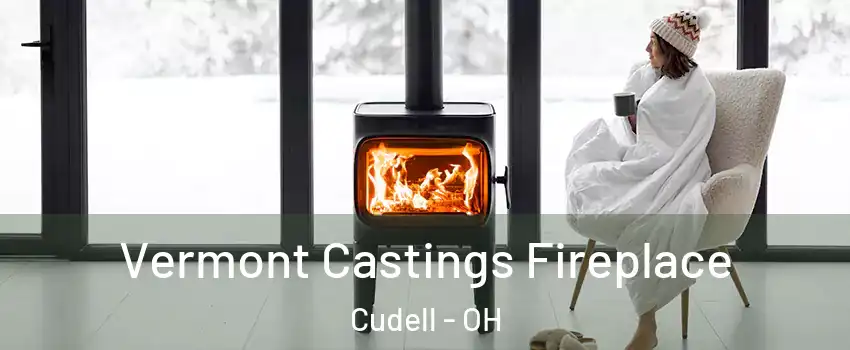 Vermont Castings Fireplace Cudell - OH