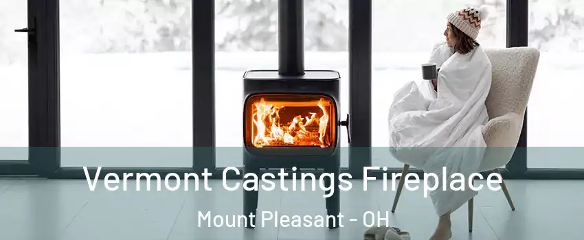 Vermont Castings Fireplace Mount Pleasant - OH