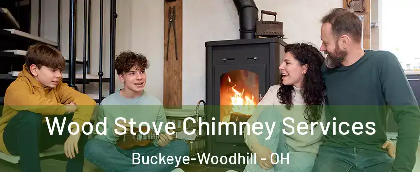 Wood Stove Chimney Services Buckeye-Woodhill - OH