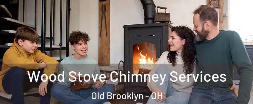 Wood Stove Chimney Services Old Brooklyn - OH