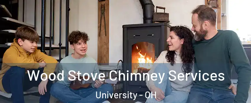 Wood Stove Chimney Services University - OH