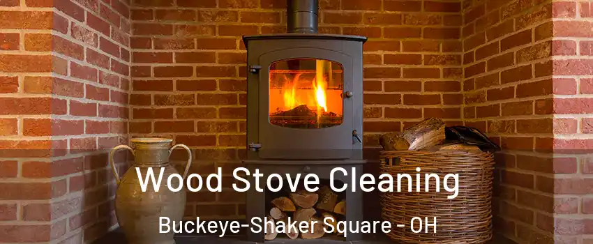 Wood Stove Cleaning Buckeye-Shaker Square - OH